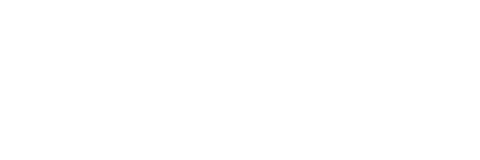 visa-palmpay